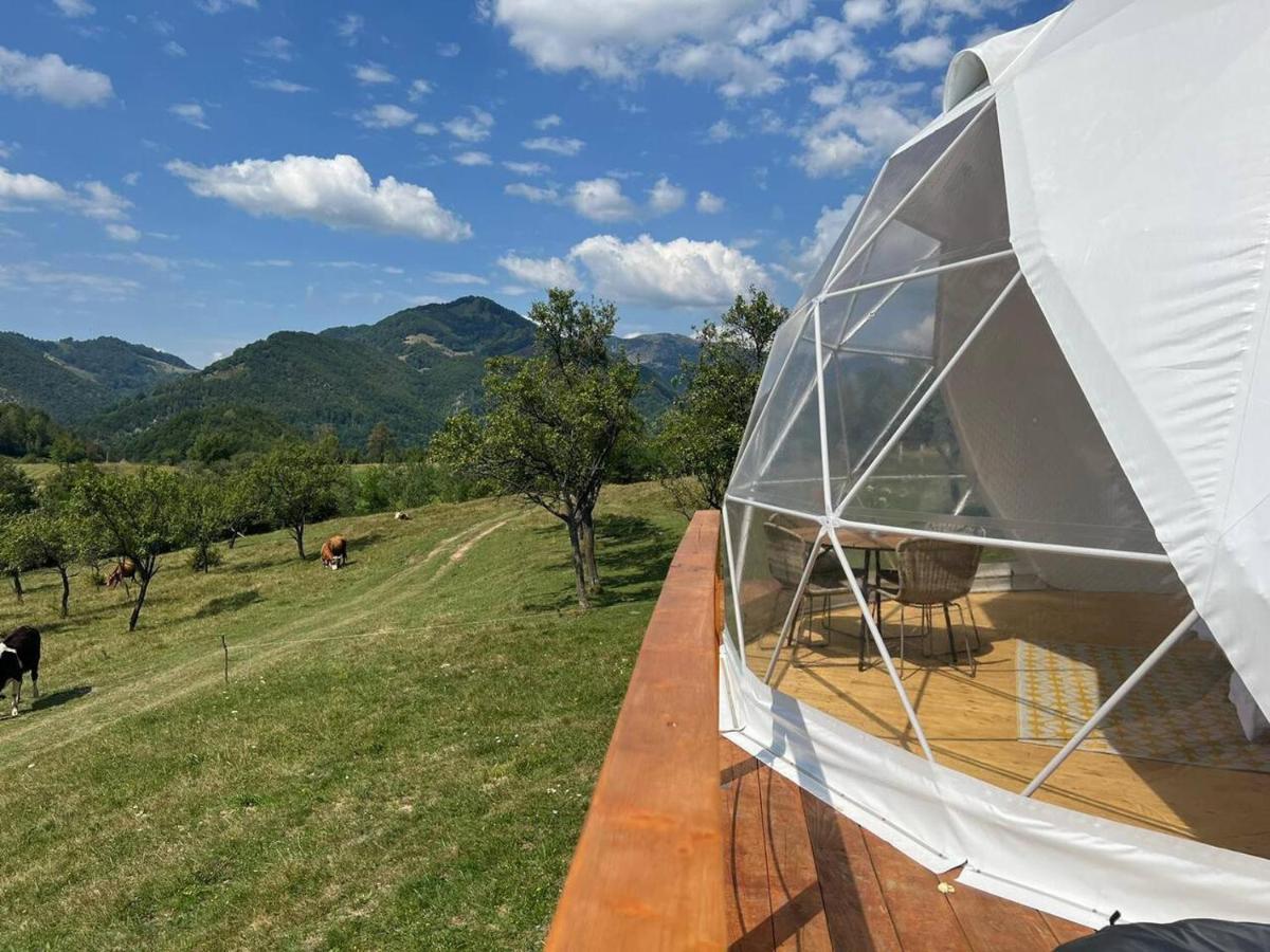 ホテル Tranquil Dome - Manta'S Retreat Glamping Cornereva エクステリア 写真